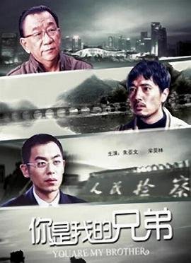 你是我的兄弟 热搜影视 已完结
