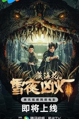藏海花之雪夜凶灯 手机观看 第二部
