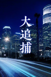 大追捕电视剧 最新上线 HD中字