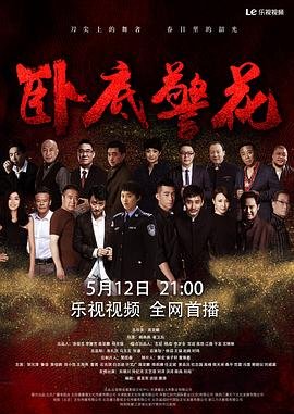 卧底警花 电视剧 精彩 完整版高清