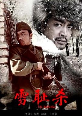 雪耻杀 口碑佳作 完结版