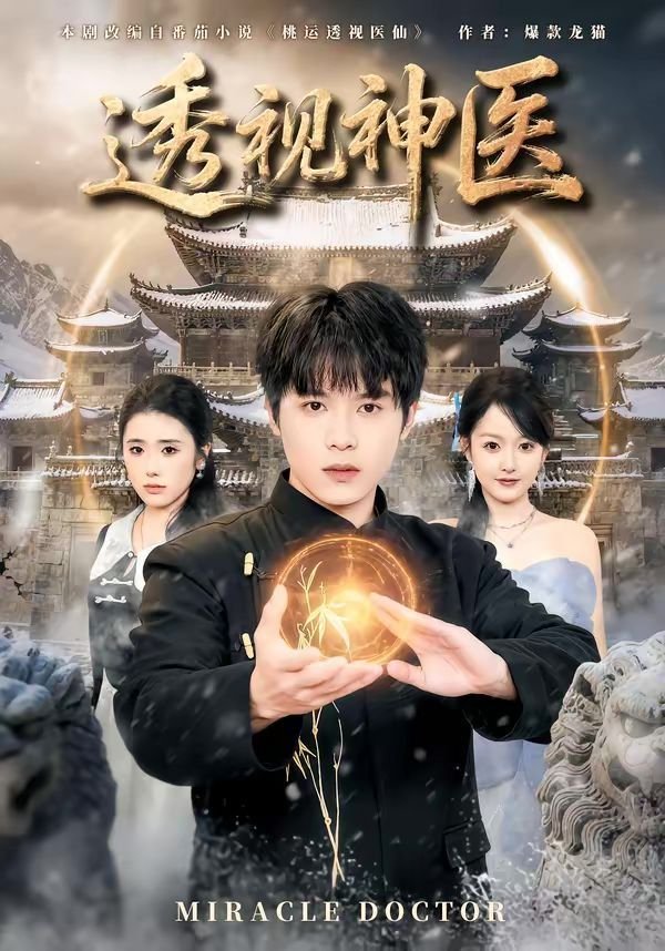 透视神医 云播放 完结版