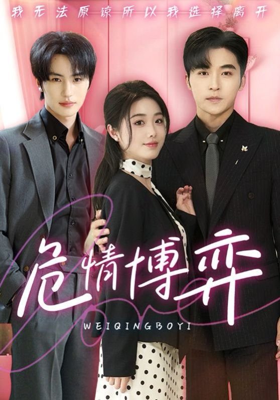 危情博弈 高分推荐 中字版