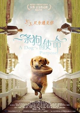 一条狗的使命 精选 未删减版