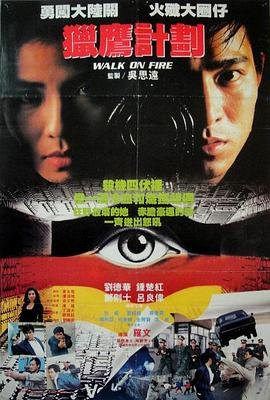 猎鹰行动 在线免费播放 完整版