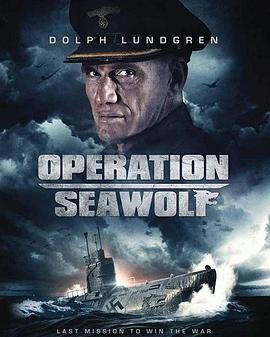 海狼行动 影院热映 最终季