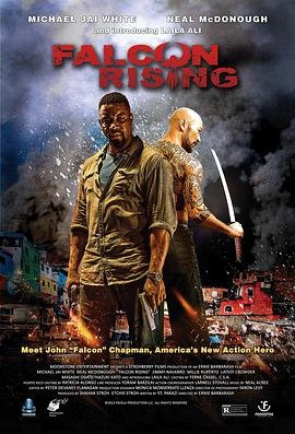 猎鹰突起 电影 影院热映 完结版
